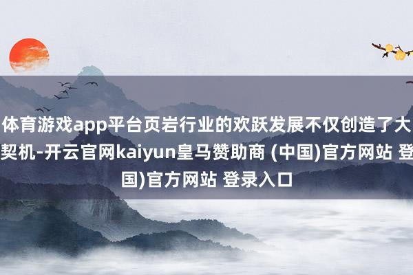 體育游戲app平臺頁巖行業(yè)的歡躍發(fā)展不僅創(chuàng)造了大皆干事契機(jī)-開云官網(wǎng)kaiyun皇馬贊助商 (中國)官方網(wǎng)站 登錄入口