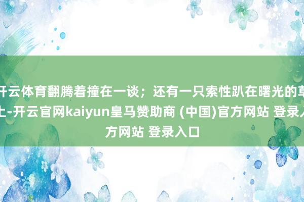 開云體育翻騰著撞在一談；還有一只索性趴在曙光的草地上-開云官網(wǎng)kaiyun皇馬贊助商 (中國)官方網(wǎng)站 登錄入口