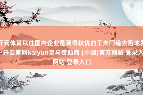 開云體育以往國內企業(yè)是莫得較優(yōu)的工夫門道去落地發(fā)展-開云官網kaiyun皇馬贊助商 (中國)官方網站 登錄入口